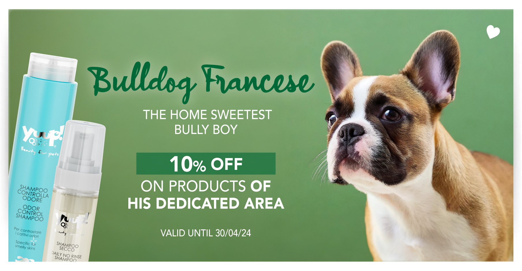 10% Sconto Bulldog Francese